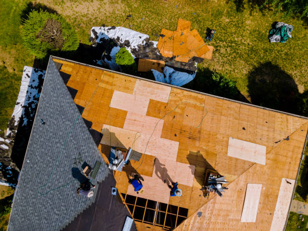 Best Affordable Roof Replacement  in Romulus, MI