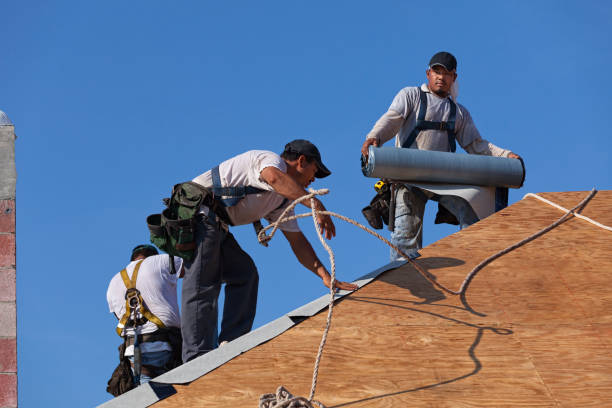 Best Affordable Roofing Company  in Romulus, MI