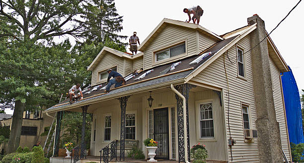 Best Roof Gutter Cleaning  in Romulus, MI