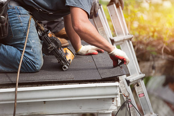 Best Affordable Roof Replacement  in Romulus, MI